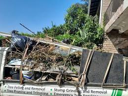 Best Dumpster Rental Services  in Griswold, IA